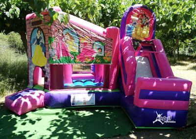 Castillo hinchable combinado Princesas